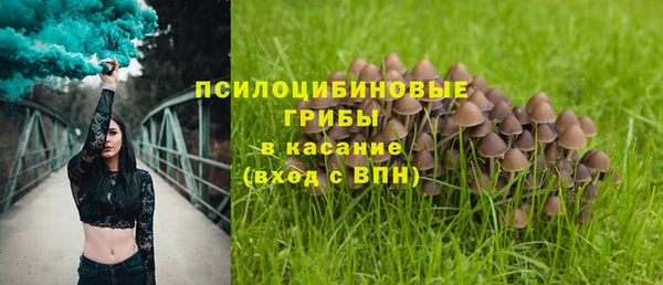 шишки Волосово