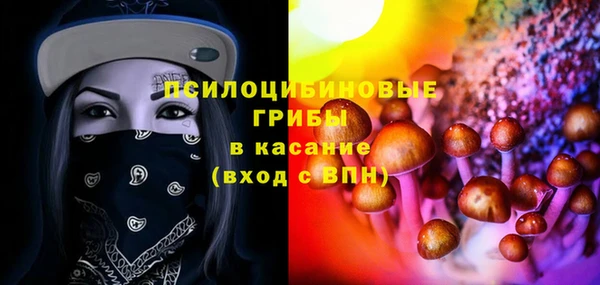 шишки Волосово