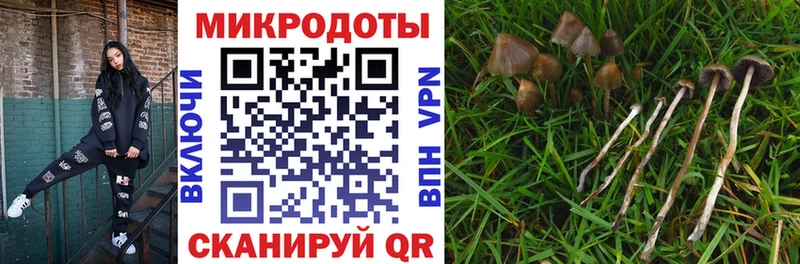 Псилоцибиновые грибы ЛСД  где купить наркоту  Грязовец 