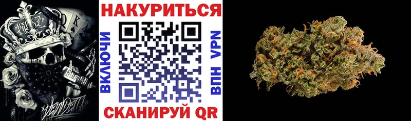 Марихуана сатива Грязовец